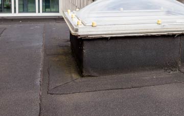disadvantages of Trewoodloe flat roofs